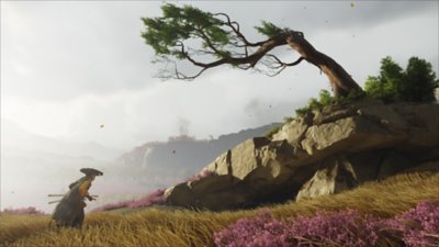 Gameplay screenshot from Ghost of Yōtei depicting a Wolf Den.