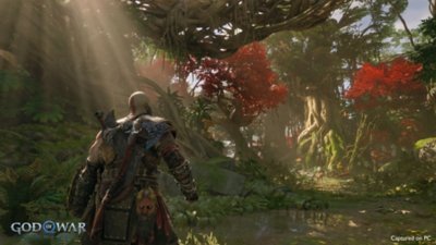 god of war ragnarok vast realms screenshot - environment forest