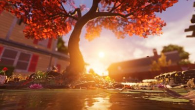 Снимок экрана из игры Grounded с изображением солнца, садящегося между домами на фоне пруда