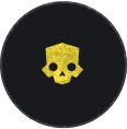 skull icon