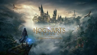 Hogwarts Legacy : L'Héritage de Poudlard - vidéo de cheminée - Gryffondor
