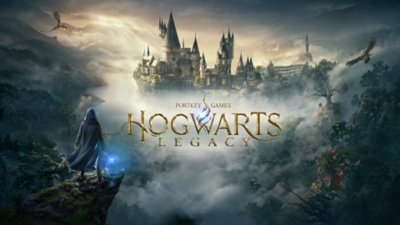 Schüler schaut in Hogwarts Legacy über Schloss Hogwarts