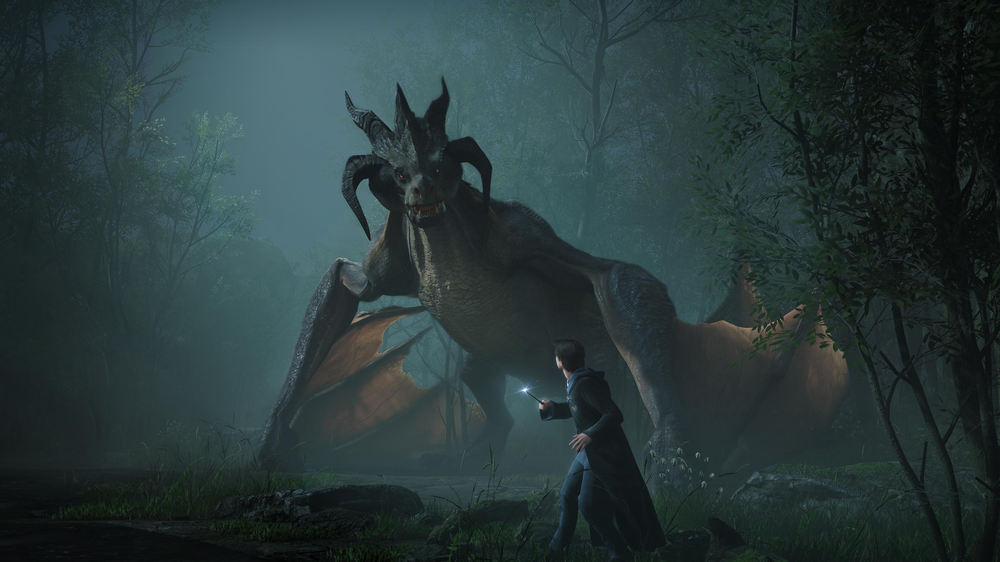 Hogwarts Legacy screenshot showing a student standing before a dragon