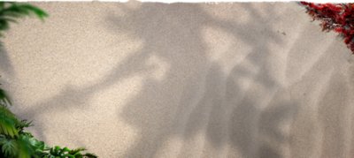 arrière-plan couleur sable de la page de la licence horizon