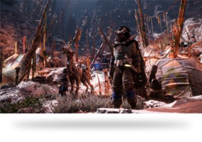 『Horizon Zero Dawn』バヌーク