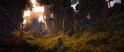 fond d'écran Horizon Zero Dawn