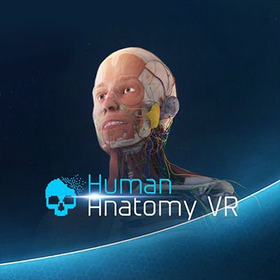 Human Anatomy VR