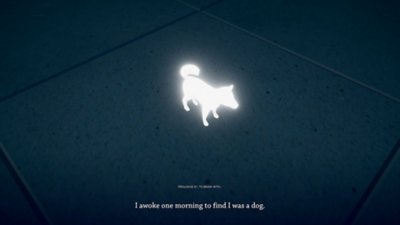 Captura de ecrã do Humanity com um cão Shiba Inu a brilhar