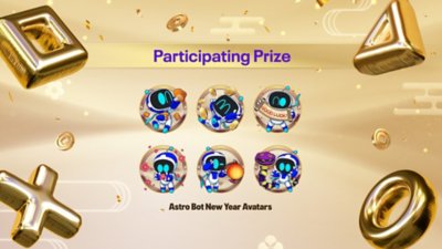 Participation Prize image