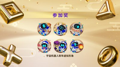 Participation Prize image