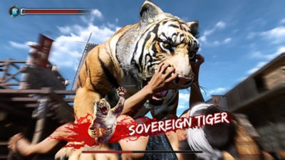 Like a Dragon: Ishin! – captura de ecrã que mostra uma personagem a ser atacada por um tigre