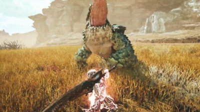 Monster Hunter Wilds screenshot showing a hunter using Focus mode against a Chatacabra