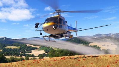 Microsoft Flight Simulator 2024 screenshot showing a helicopter above a field of flowers
