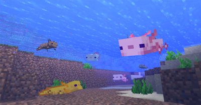 Minecraft ゲームタイトル Playstation