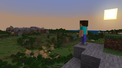 Minecraft ゲームタイトル Playstation