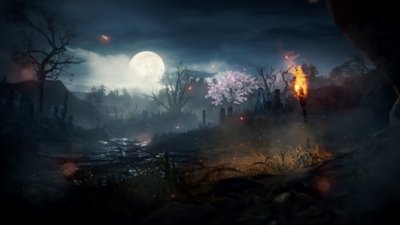 مستويات Nioh 2