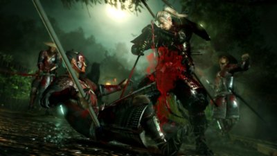 screenshot van nioh