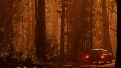 Pacific Drive screenshot featuring a car in a dense forest during sunset