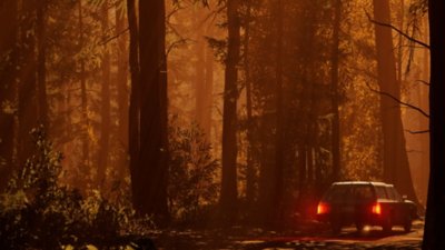 Captura de pantalla de Pacific Drive con un automóvil en un denso bosque durante la puesta de sol