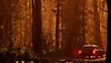 Captura de pantalla de Pacific Drive con un automóvil en un denso bosque durante la puesta de sol