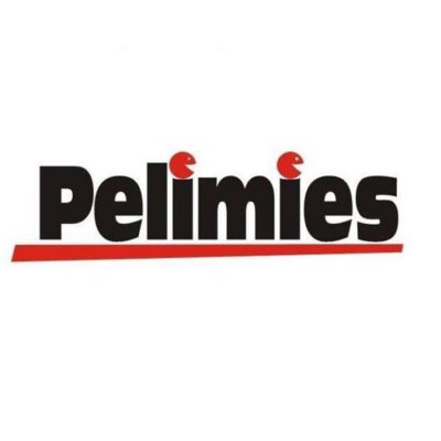 pelimies logo