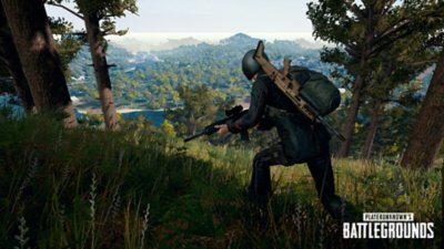 Playerunknown S Battlegrounds Ps4 Games Playstation