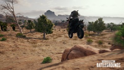 PlayerUnknown's Battlegrounds - Gallery Screenshot 13