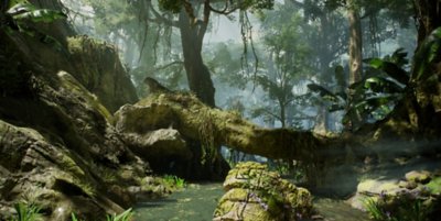 predator hunting grounds background