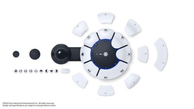 Imagen de un control Access que detalla los componentes del control