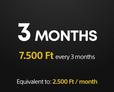 3 months PS Plus subscription