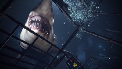 ps4 vr shark