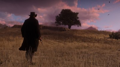 Red Dead Redemption 2 — снимок экрана с игровым процессом