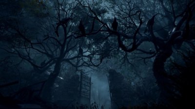 Resident Evil 4 - Capture d'écran montrant une nuée de corbeaux perchés sur des arbres dénudés près d'un portail métallique