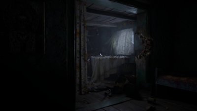 Resident evil village полевой набор что это