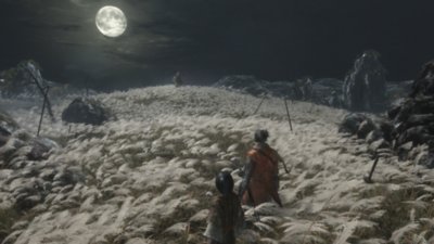 Sekiro: Shadows Die Twice - スクリーンショット