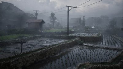 Silent Hill f – Screenshot von Reisfeldern bei extrem trübem Wetter.
