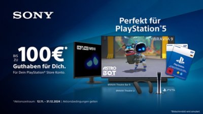 Die Symbole für BRAVIA, INZONE-Monitor, Nackenband-Lautsprecher und PlayStation Store-Gutscheine sind jeweils angeordnet