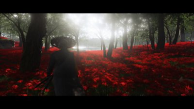 Ghost of Yōtei gameplay in Watanabe-mode, featuring vivid and stylised colour grading.