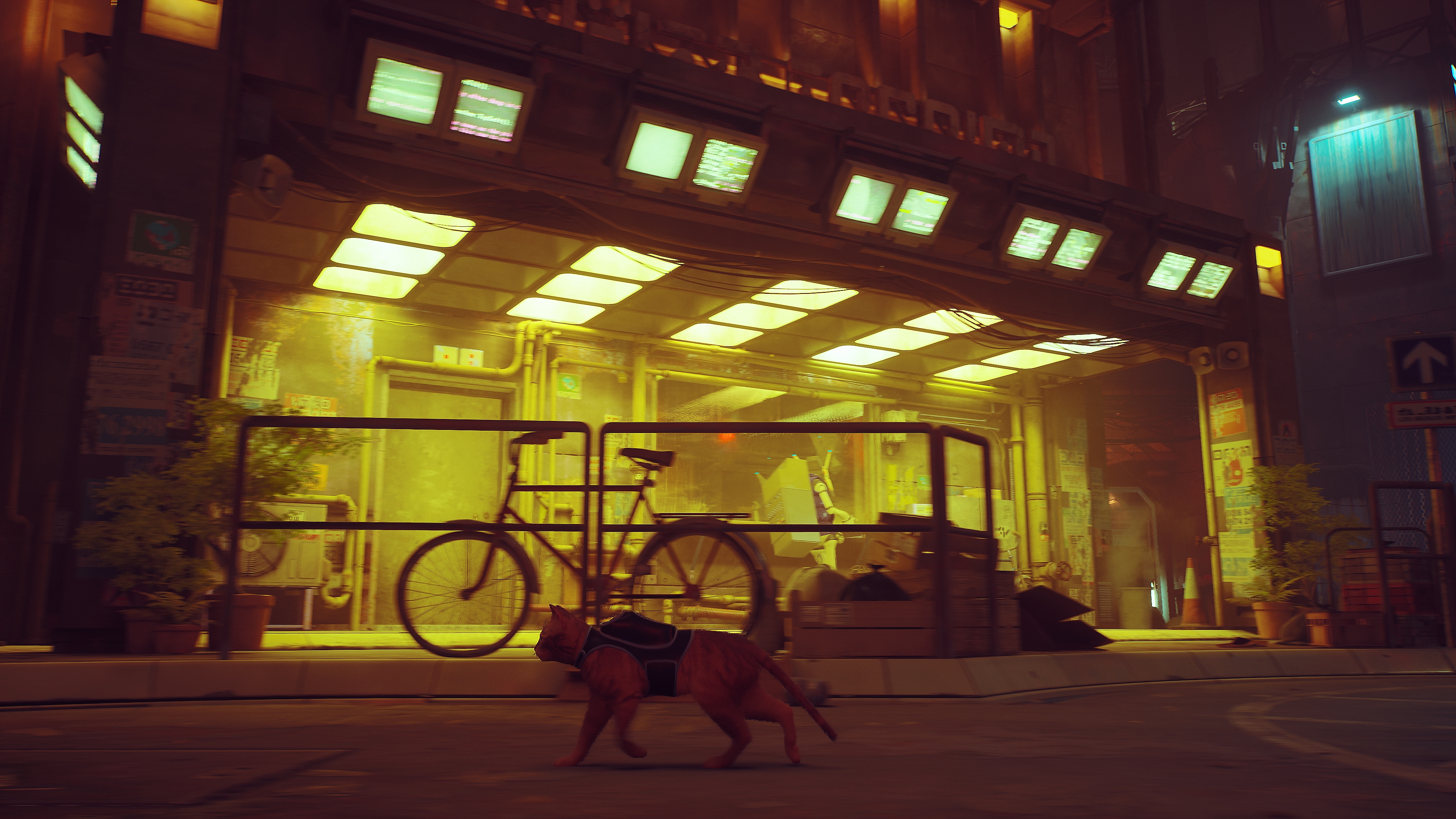 Stray – snímka obrazovky zobrazujúca mačku kráčajúcu okolo bicykla