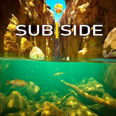 Subside cover art showing a partially submerged scene