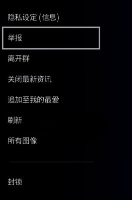 PS4的“消息交换”屏幕，其中突出显示了“举报”选项。