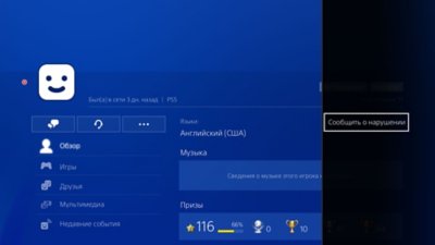 Пользовательский интерфейс консоли PS4, демонстрирующий, как сообщить о нарушении в профиле.