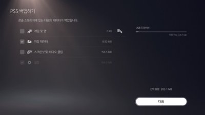 PS5 백업. 화면 왼쪽에 있는 상자에 체크 표시가 되어 있어서 표시된 항목이 선택되어 있고 화면 오른쪽 하단에 다음 버튼이 있는 PS5 화면입니다.