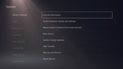 PS5 System screen with System Software selected in the left side, and Console Information highlighted on the right side.