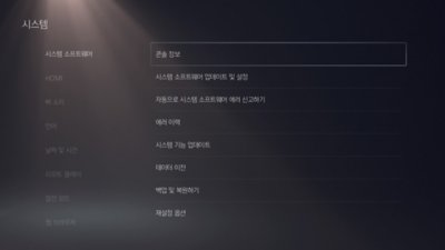 왼쪽에 시스템 소프트웨어가 선택되어 있고 오른쪽에 콘솔 정보가 강조 표시된 PS5 시스템 화면