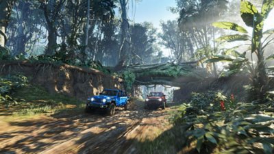 The Crew Motorfest – skjermbilde av offroadkjøretøyer som kappkjører i en skog