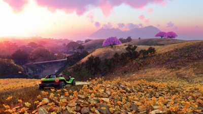 The Crew Motorfest – skjermbilde av en bil i en blomstereng