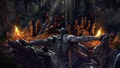 The Elder Scrolls Online – kuvakaappaus Blackwoodista