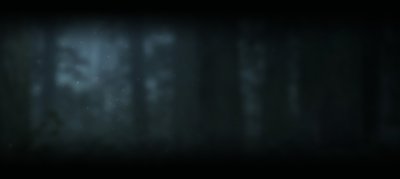 Dark background texture with shadowy trees