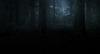 The Last of Us Part – Hintergrund